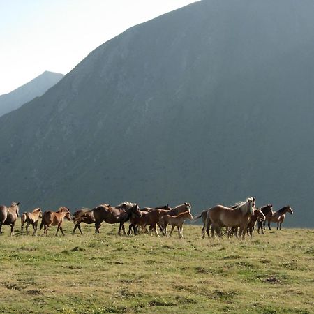 Casa Rural Era De Ferro Erill la Vall Bagian luar foto