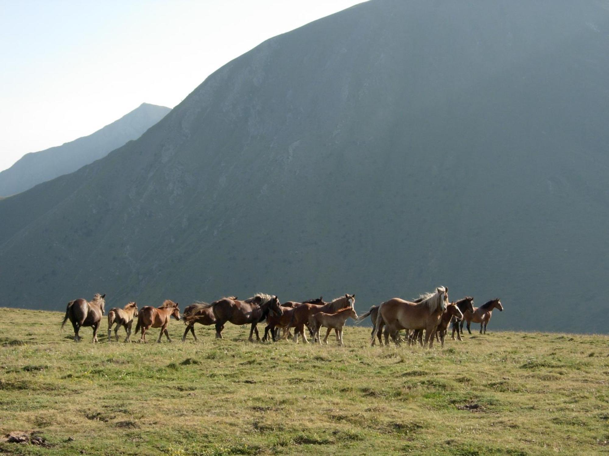 Casa Rural Era De Ferro Erill la Vall Bagian luar foto