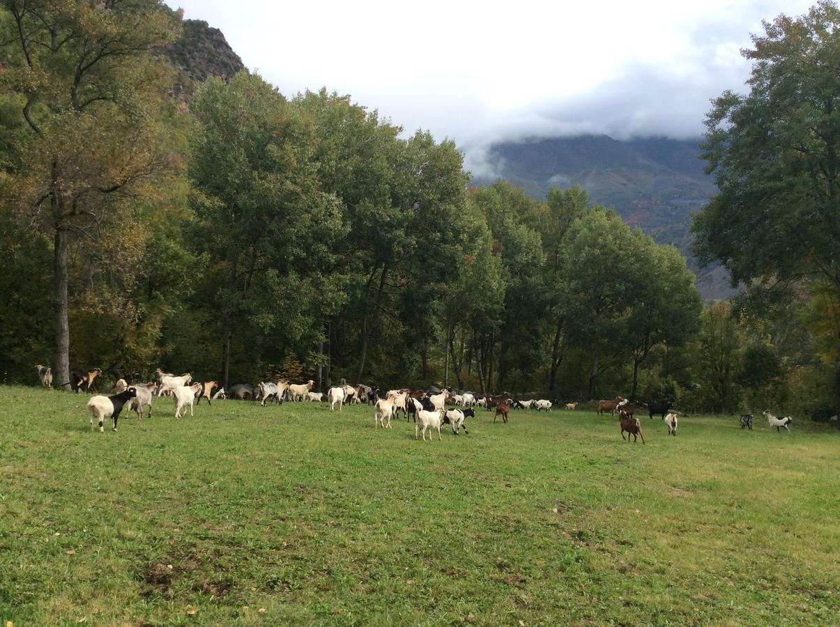 Casa Rural Era De Ferro Erill la Vall Bagian luar foto