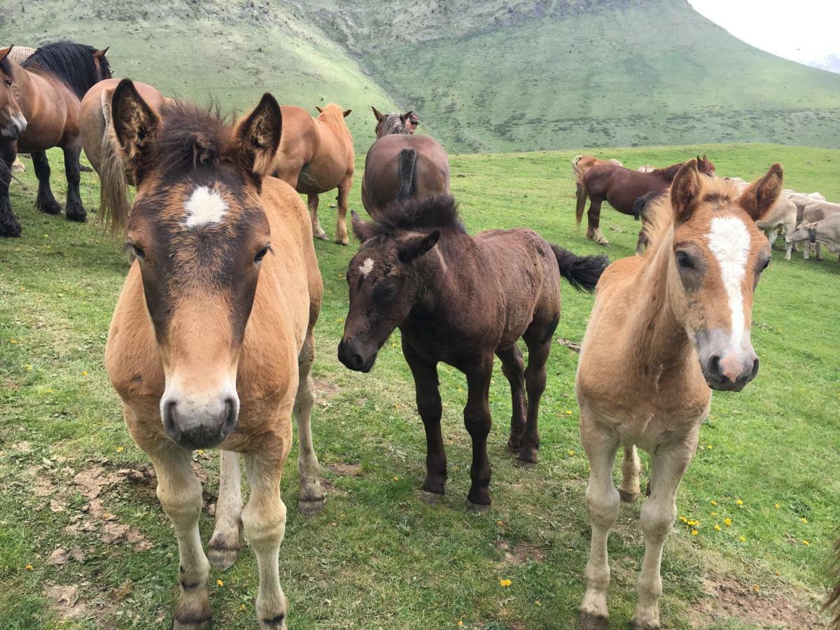 Casa Rural Era De Ferro Erill la Vall Bagian luar foto